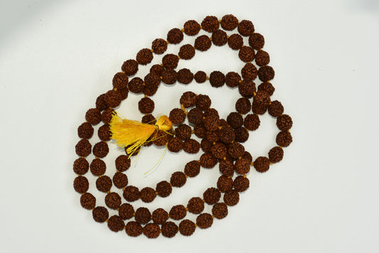 5-Mukhi Rudraksh Jap Mala